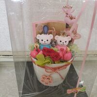 画像1259