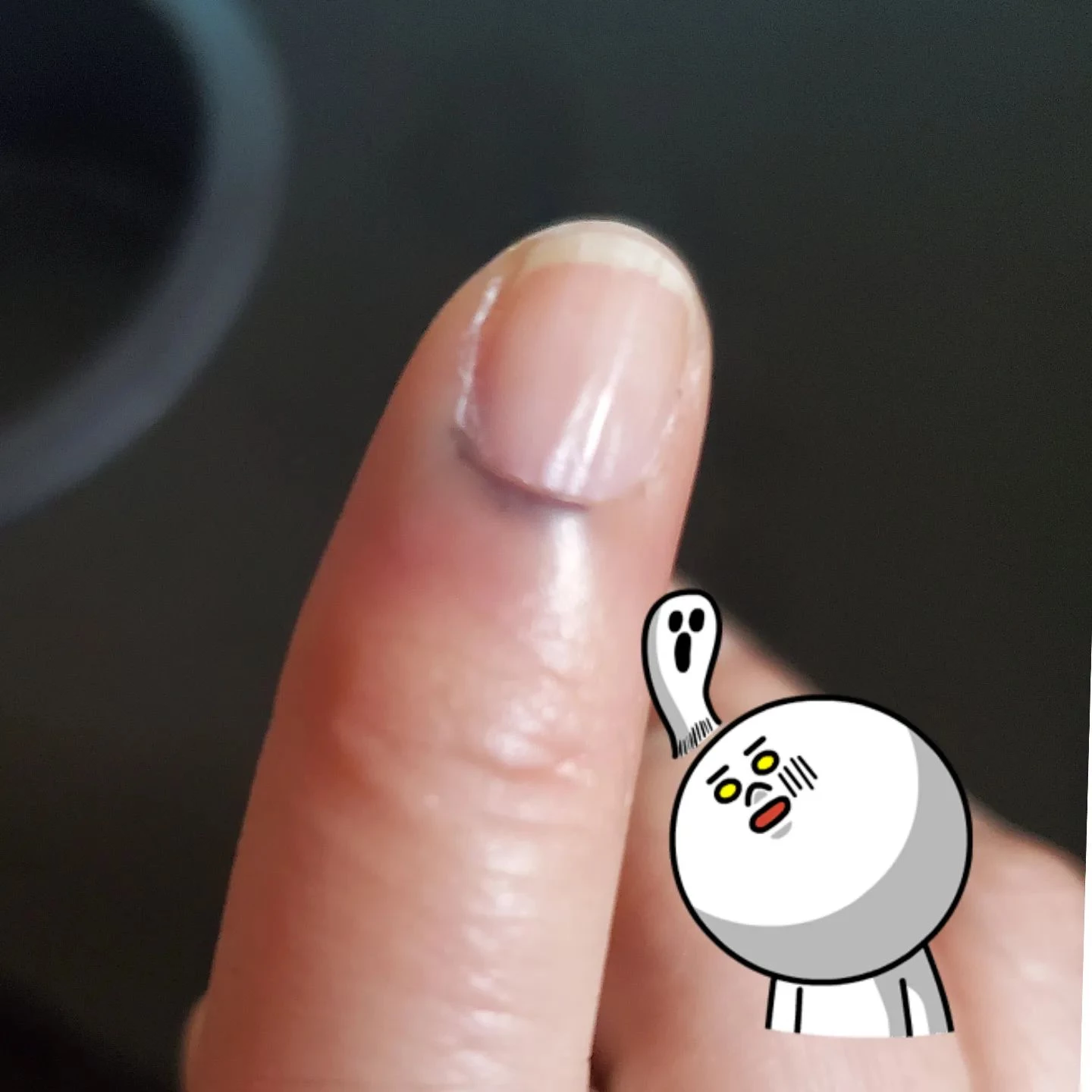 画像1445