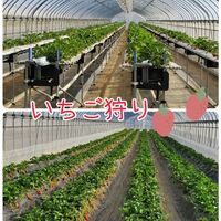 画像1458