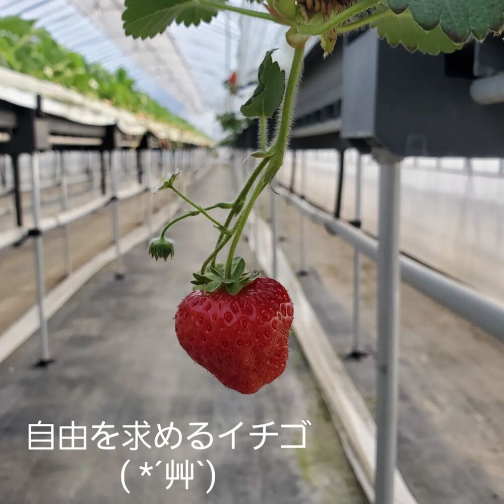 画像1460