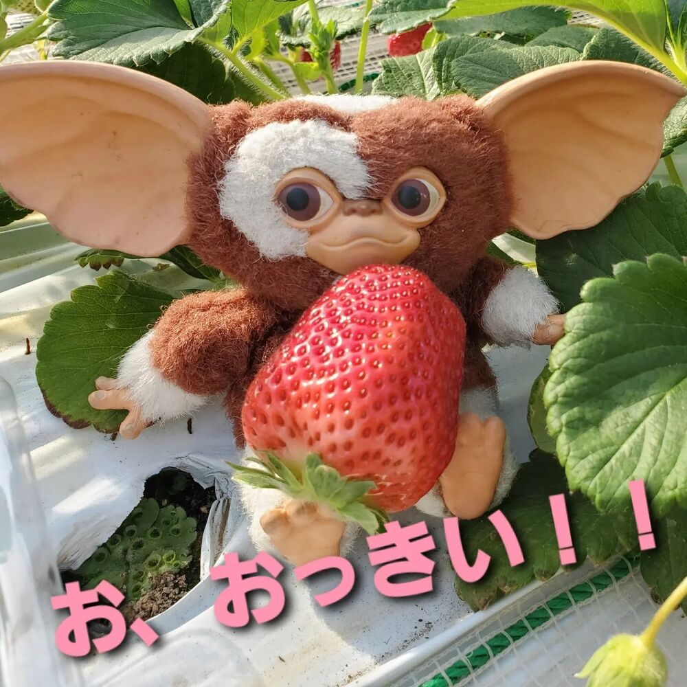 画像1462
