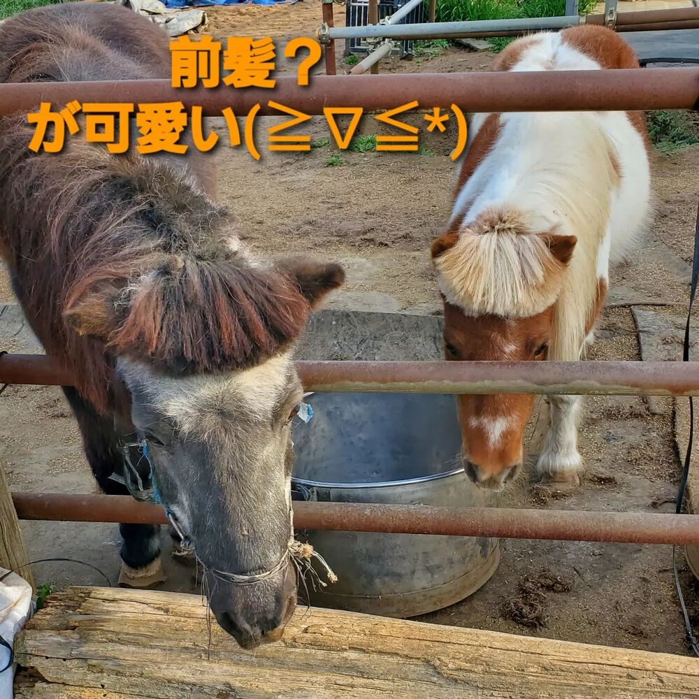 画像1463