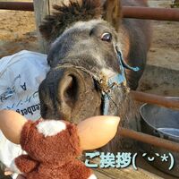 画像1464