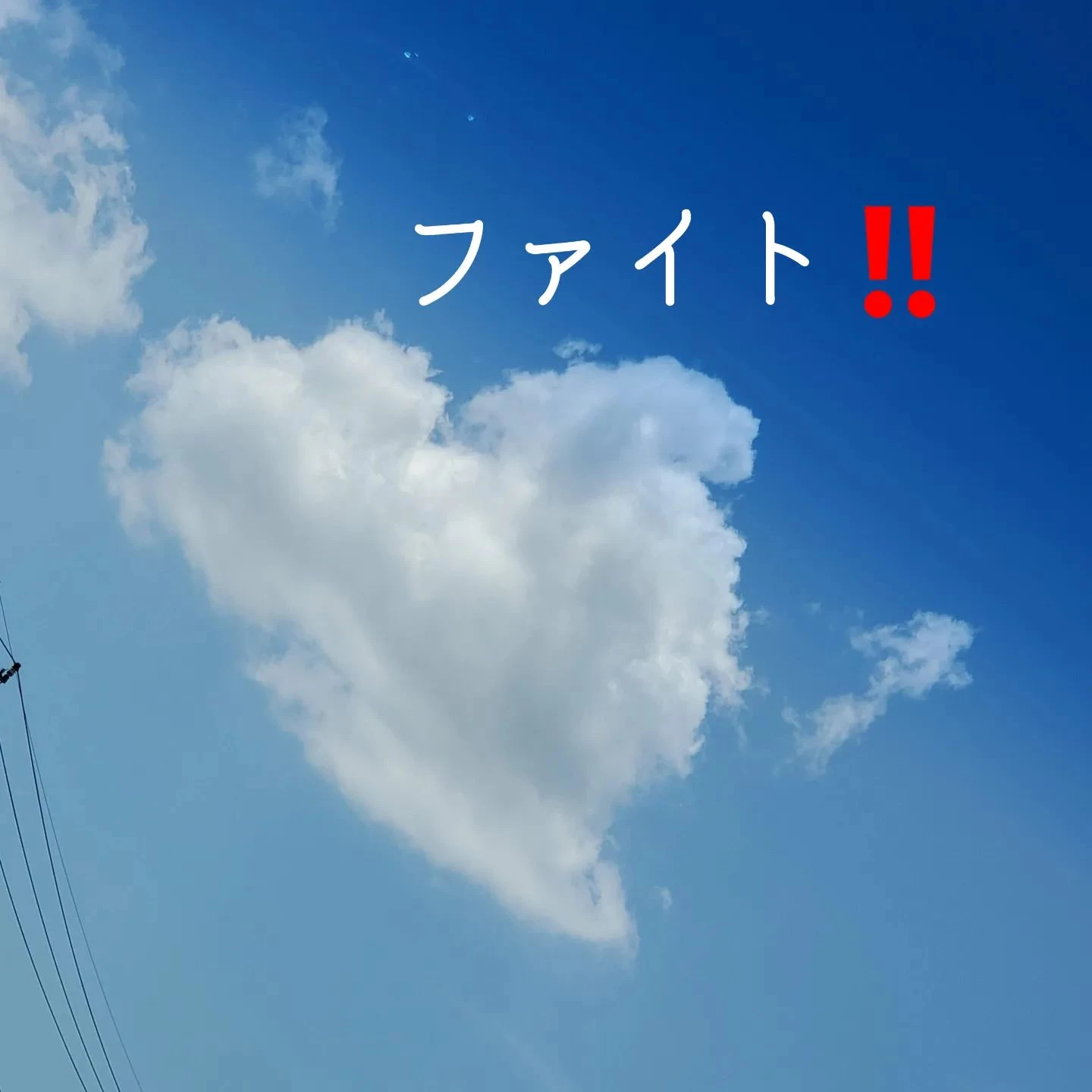 画像1473