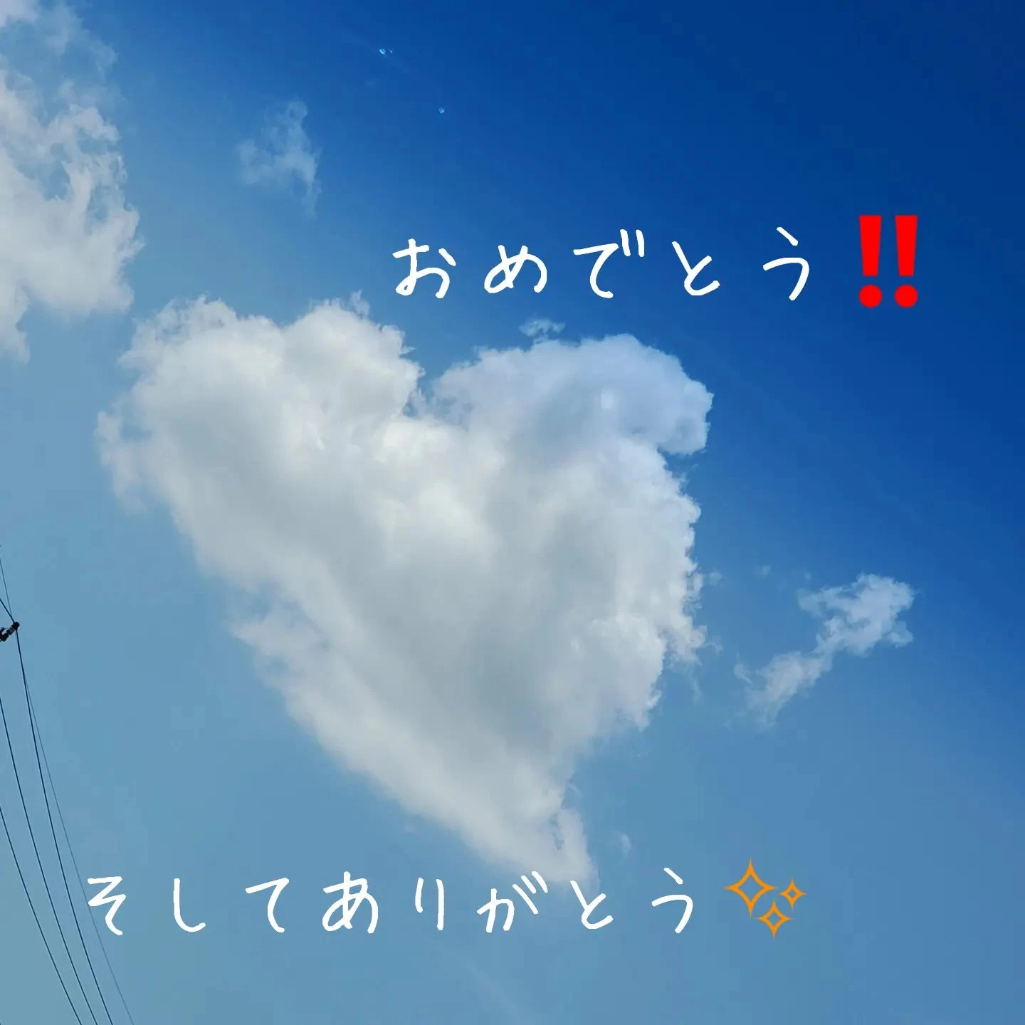 画像1477
