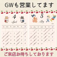 画像1551