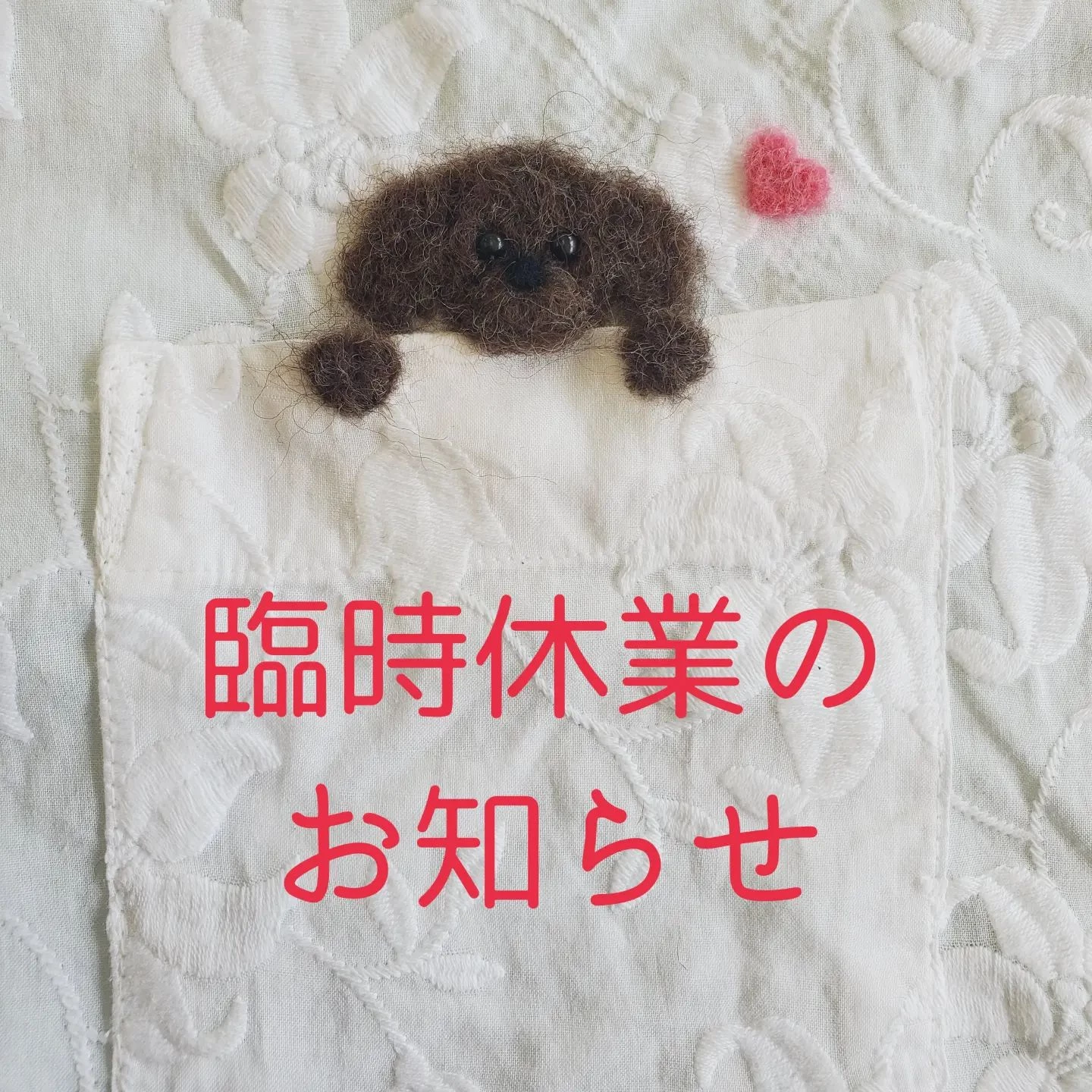 画像1571