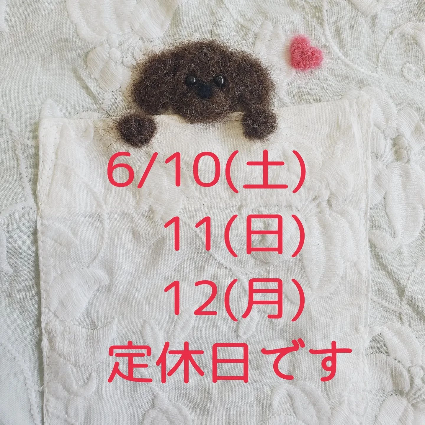 画像1666