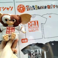画像1746