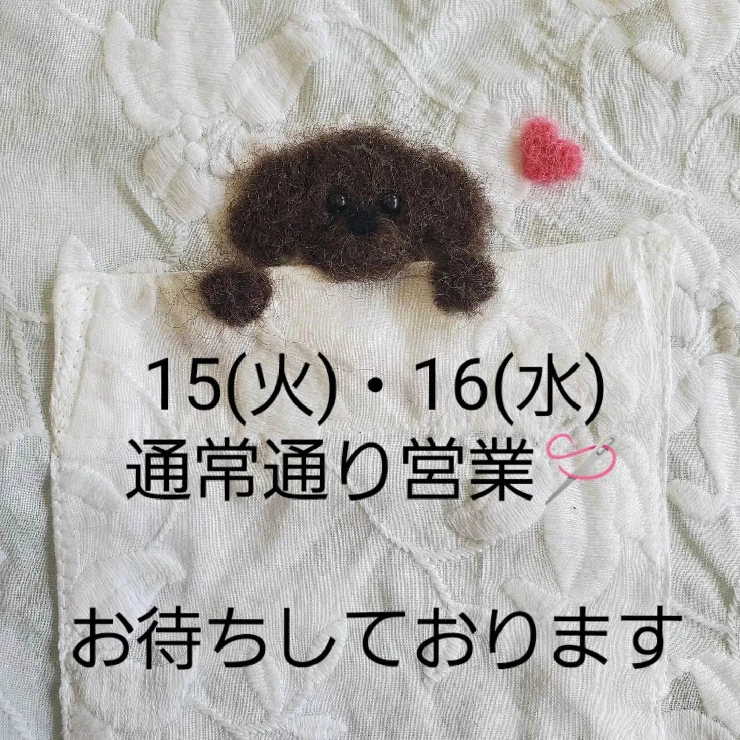 画像1866