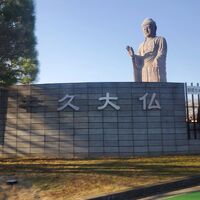 画像2081