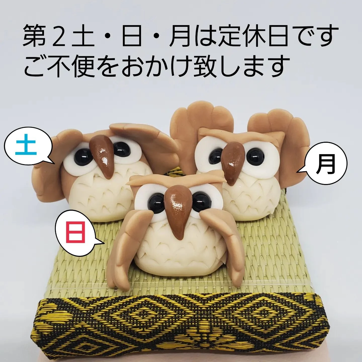 画像2095