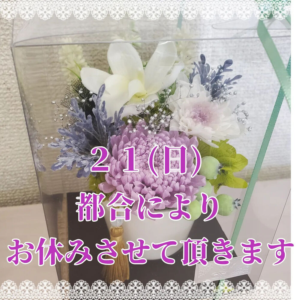 画像2138