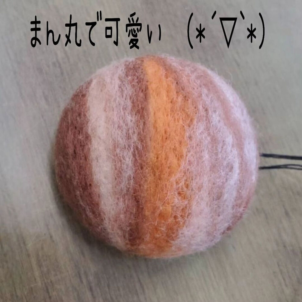 画像2152